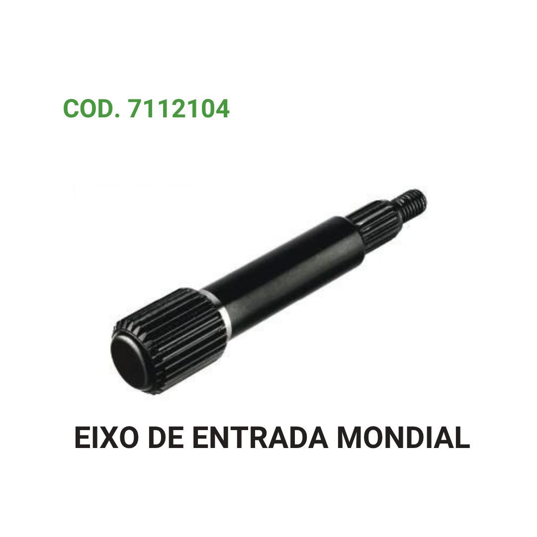EIXO DE ENTRADA MONDIAL