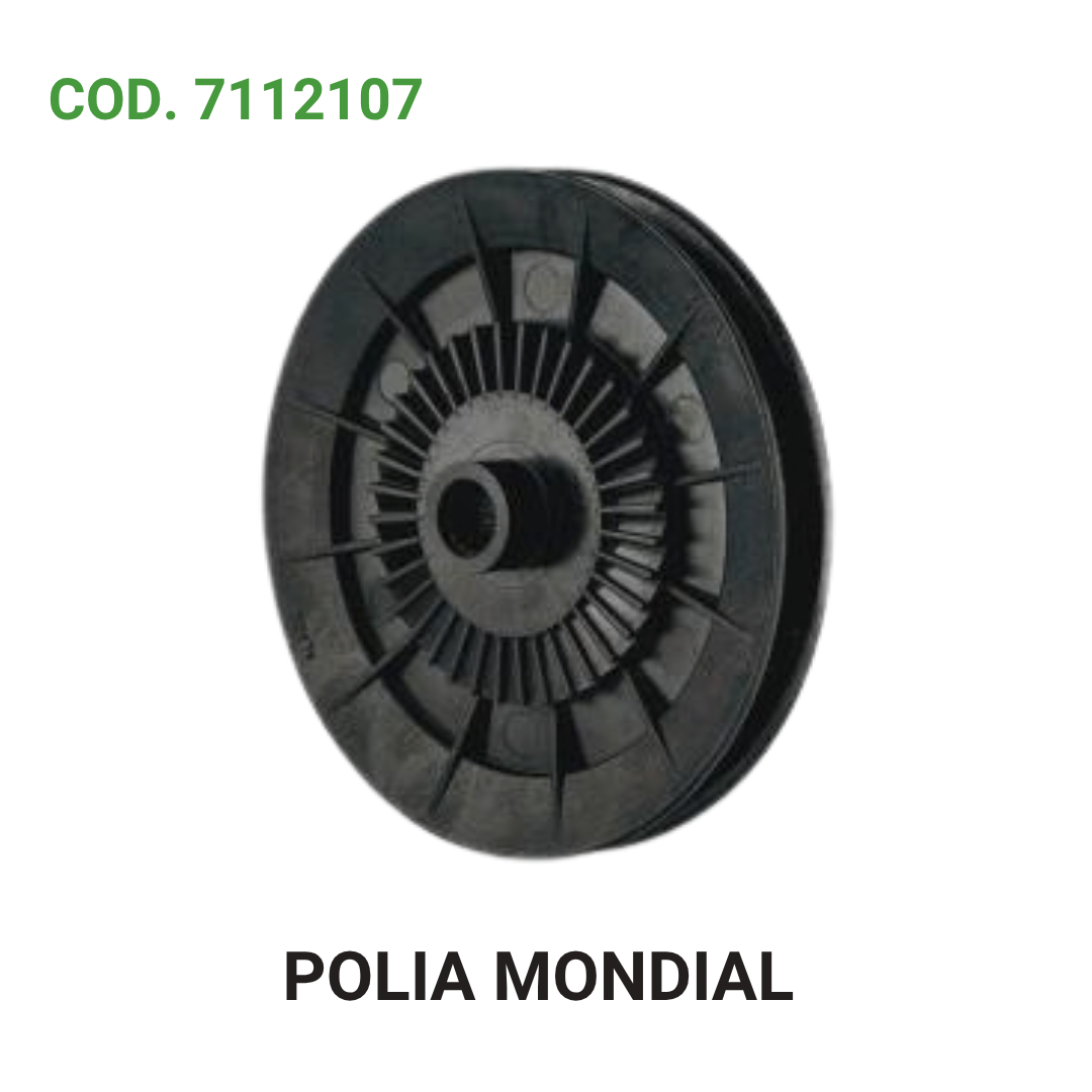 POLIA MONDIAL