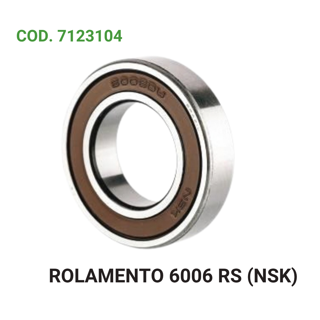 ROLAMENTO 6006 RS (NSK)